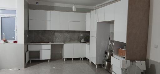 عکس شاهین چوب