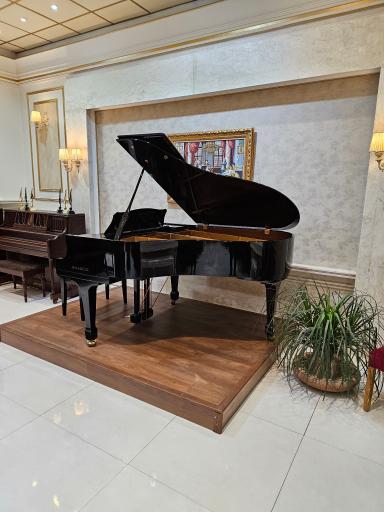 عکس گالری پیانو پاوان