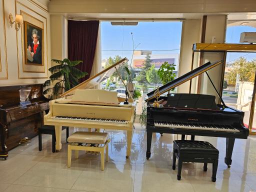 عکس گالری پیانو پاوان