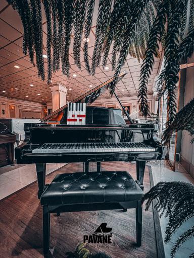 عکس گالری پیانو پاوان