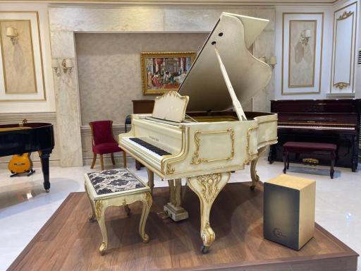 عکس گالری پیانو پاوان