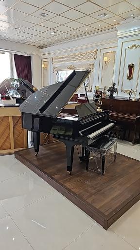 عکس گالری پیانو پاوان