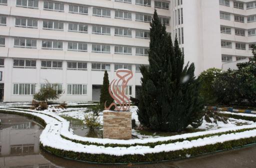 عکس برج لاله