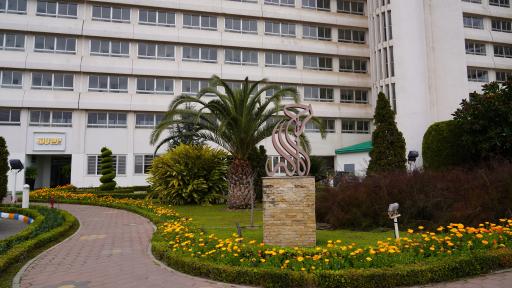 عکس برج لاله