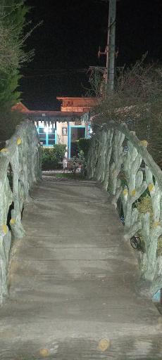 عکس مجموعه رستورانی آوینا