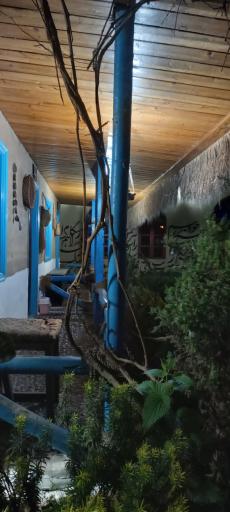 عکس مجموعه رستورانی آوینا