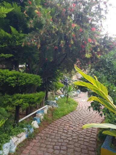 عکس مجموعه رستورانی آوینا