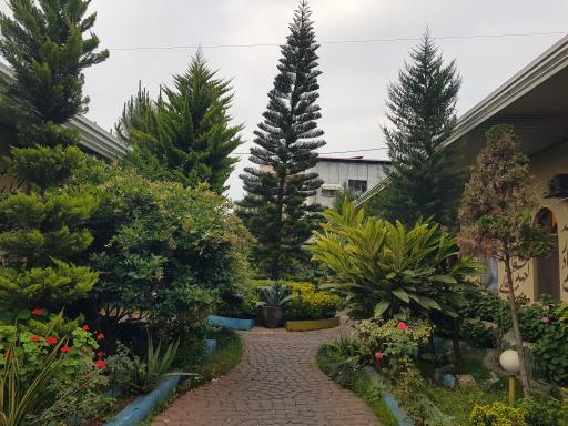 عکس مجموعه رستورانی آوینا