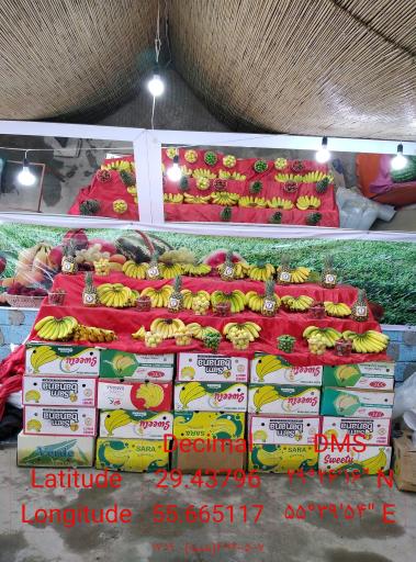 عکس میوه سرای چهارفصل علی فتحی