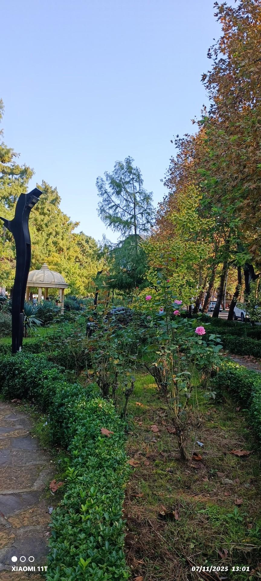 عکس جزیره استخر لاهیجان