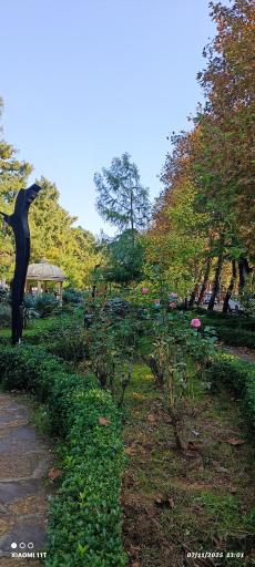 عکس جزیره استخر لاهیجان