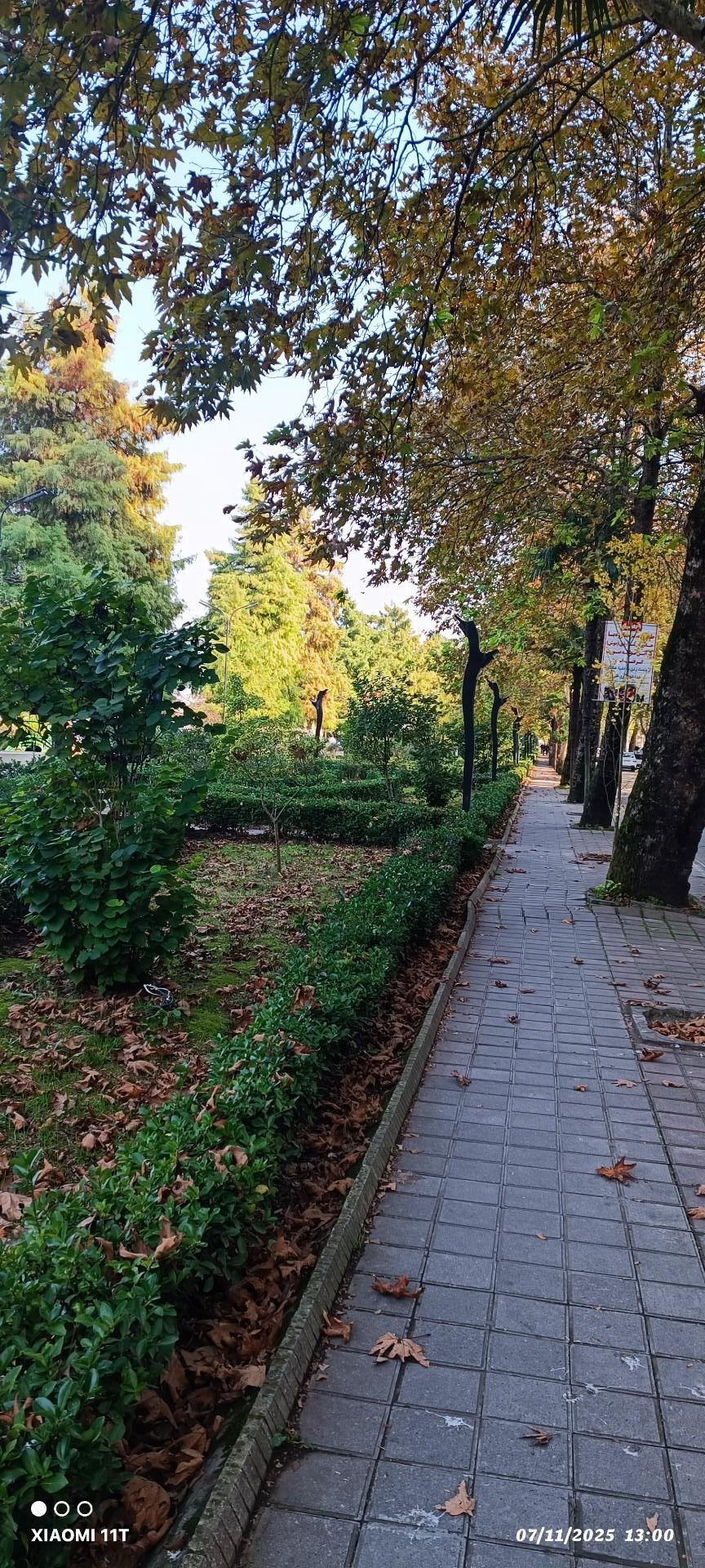 عکس جزیره استخر لاهیجان