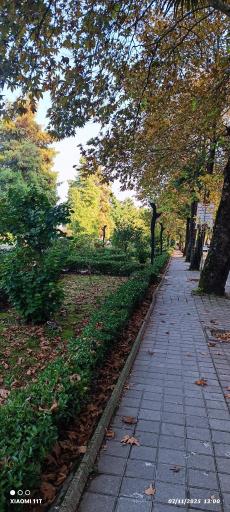 عکس جزیره استخر لاهیجان