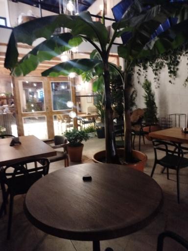 عکس کافه لاکو ریکا