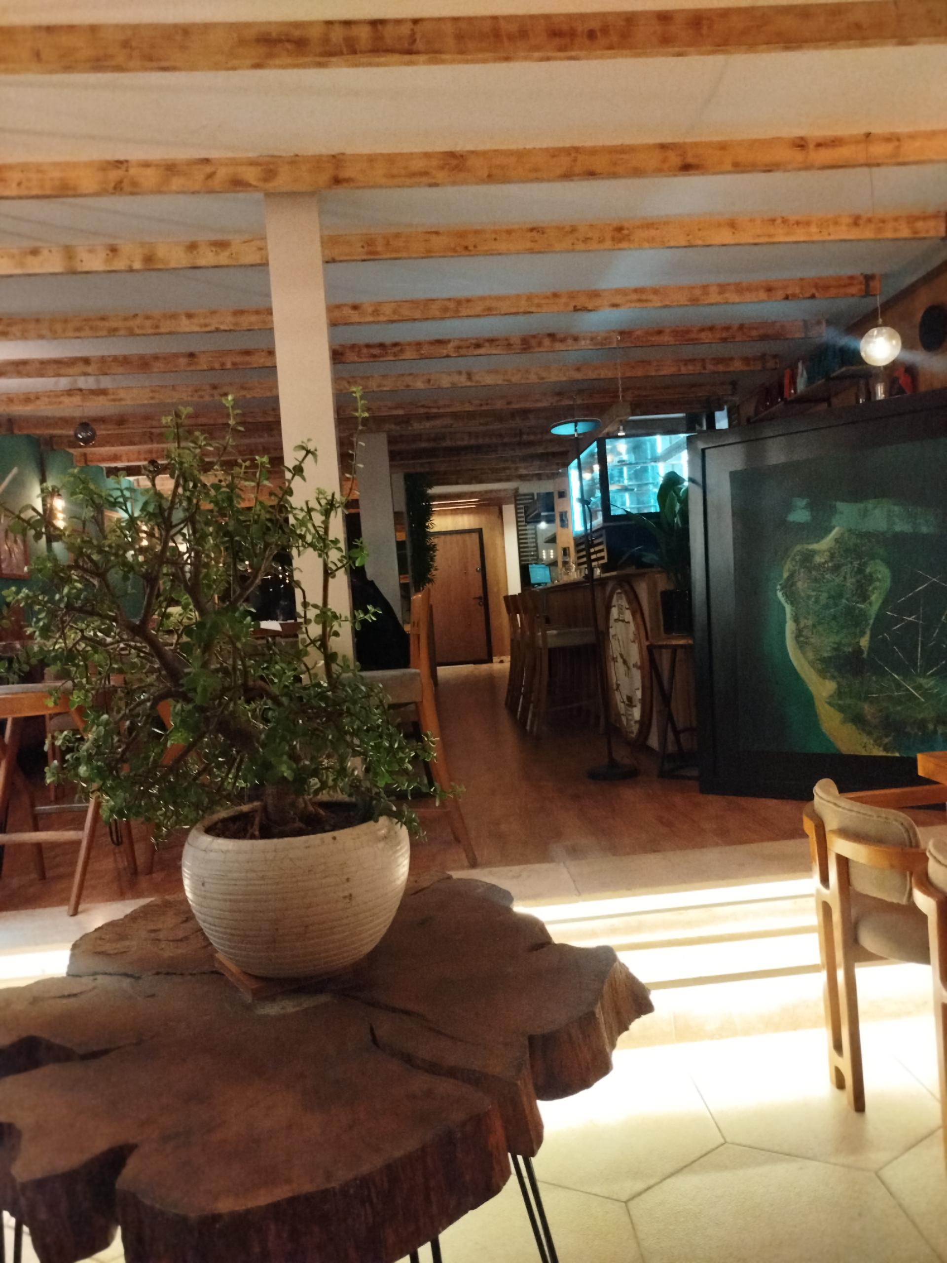 عکس کافه لاکو ریکا