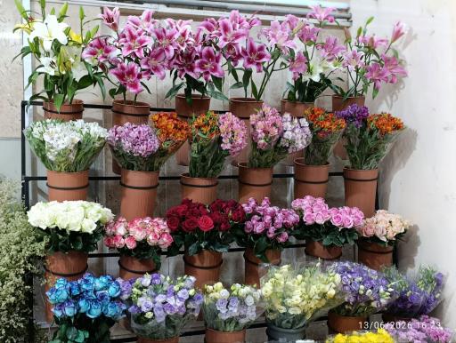 عکس گلفروشی وایت ارکیده