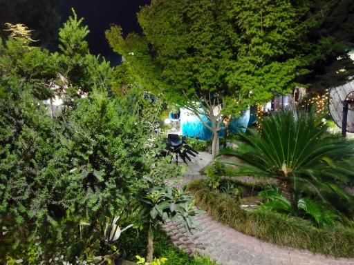 عکس مجموعه رستورانی آوینا