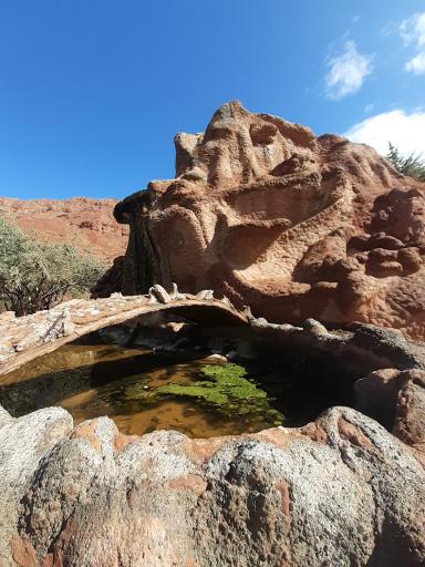 عکس پارک جنگلی رشدیه