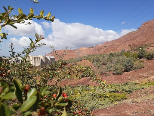 عکس پارک جنگلی رشدیه