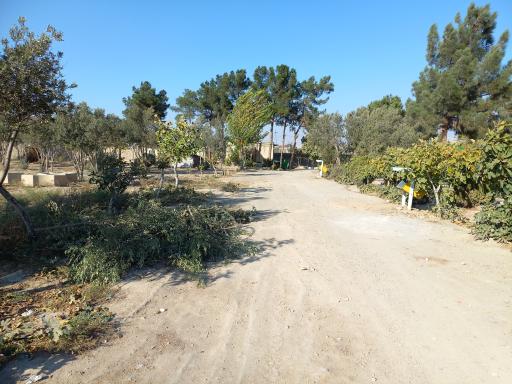 عکس امامزاده سیدرضا