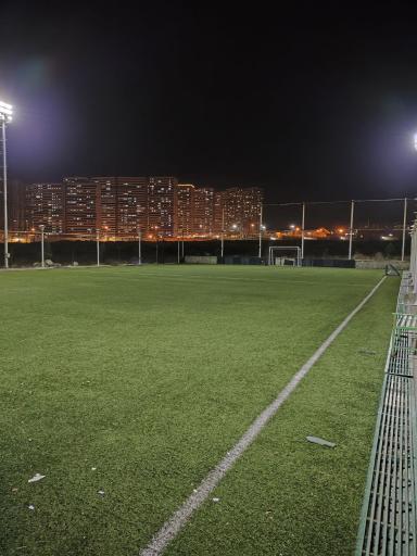 عکس زمین چمن مصنوعی دانش تهران