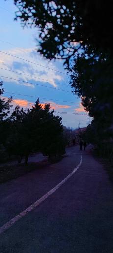 عکس پارک جنگلی رشدیه