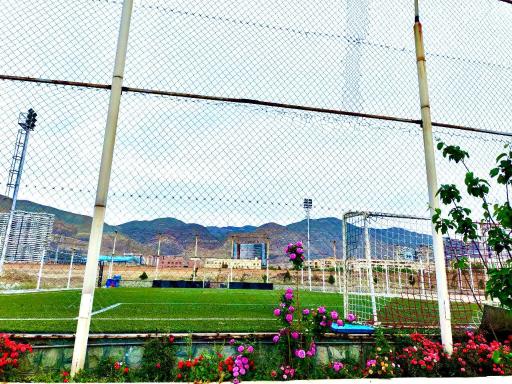 عکس زمین چمن مصنوعی دانش تهران