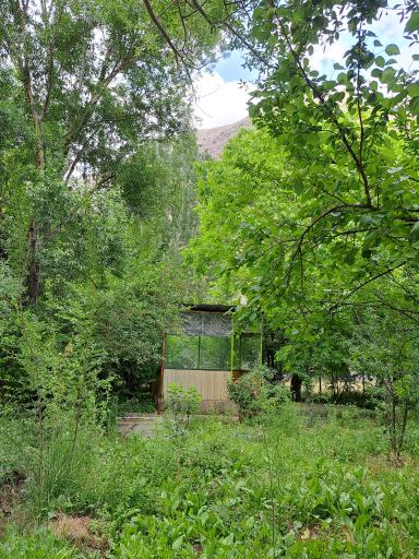 عکس باغ خانوادگی آرش 