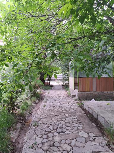 عکس باغ خانوادگی آرش 