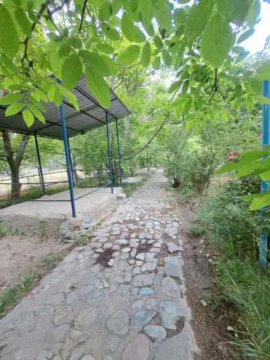 عکس باغ خانوادگی آرش 