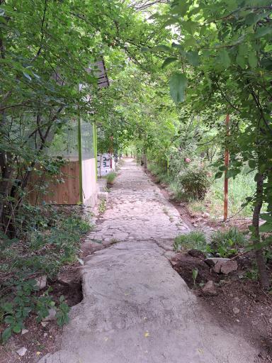 عکس باغ خانوادگی آرش 