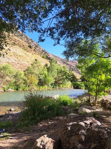 عکس باغ خانوادگی آرش 