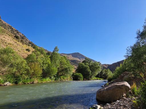 عکس باغ خانوادگی آرش 