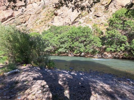 عکس باغ خانوادگی آرش 