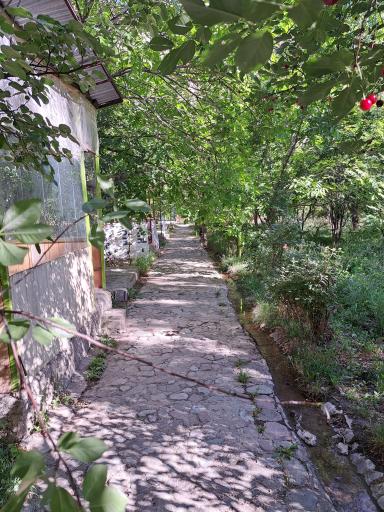 عکس باغ خانوادگی آرش 