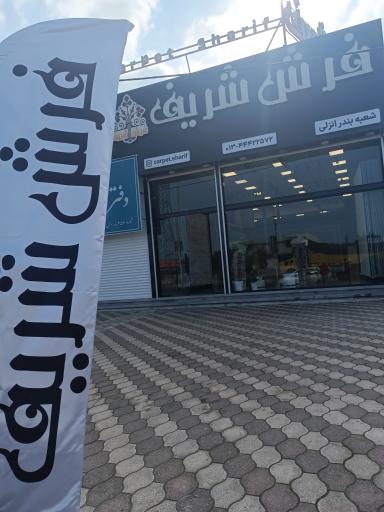 عکس  فرش شریف شعبه بندرانزلی