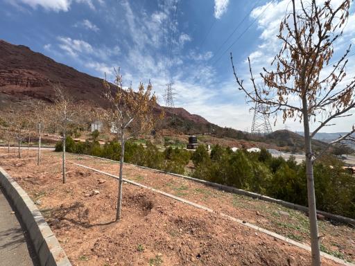 عکس پارک جنگلی رشدیه