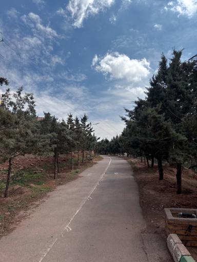 عکس پارک جنگلی رشدیه