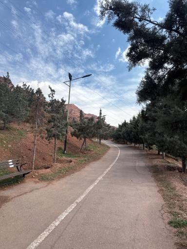 عکس پارک جنگلی رشدیه