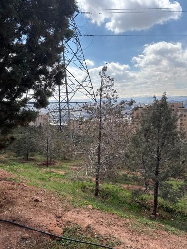 عکس پارک جنگلی رشدیه