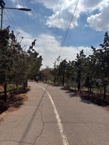 عکس پارک جنگلی رشدیه