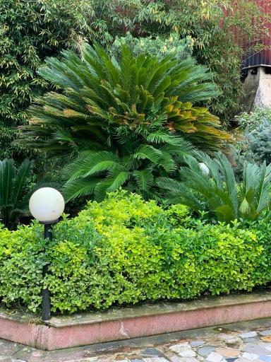 عکس اجاره ویلا استخردار 