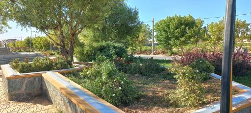 عکس میدان امام علی