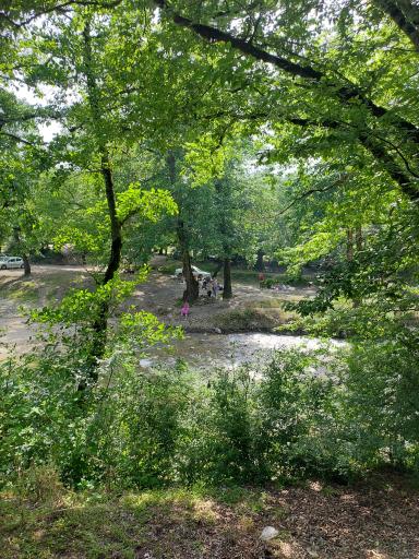 عکس پارک لاله