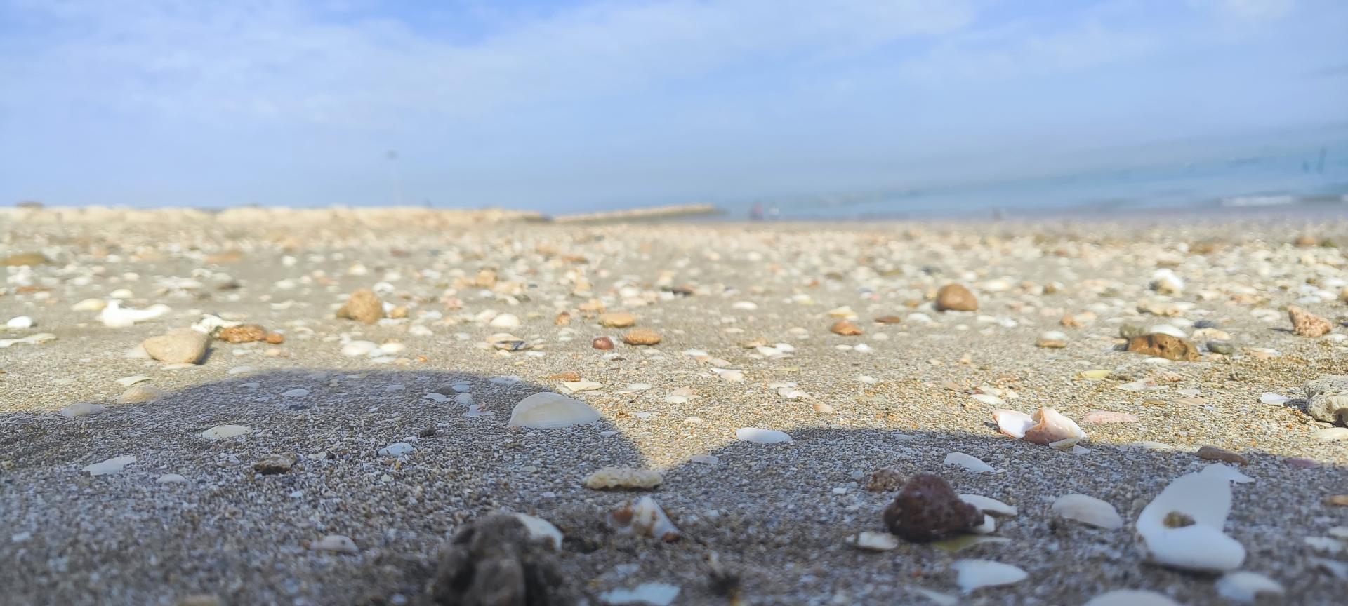 عکس اسکله هامون