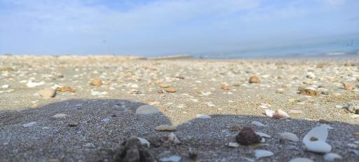 عکس اسکله هامون