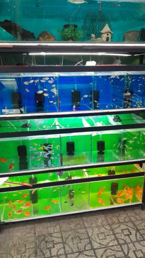 عکس مزرعه ماهی جهاندار