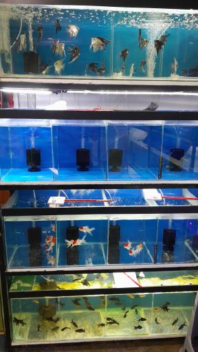 عکس مزرعه ماهی جهاندار