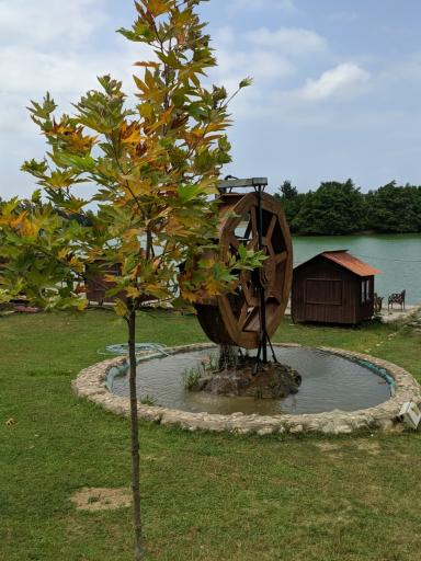 عکس آویدر کافه