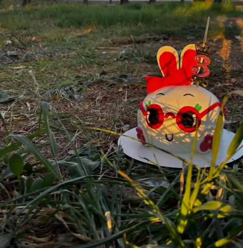 عکس کیک و شیرینی شاتوت